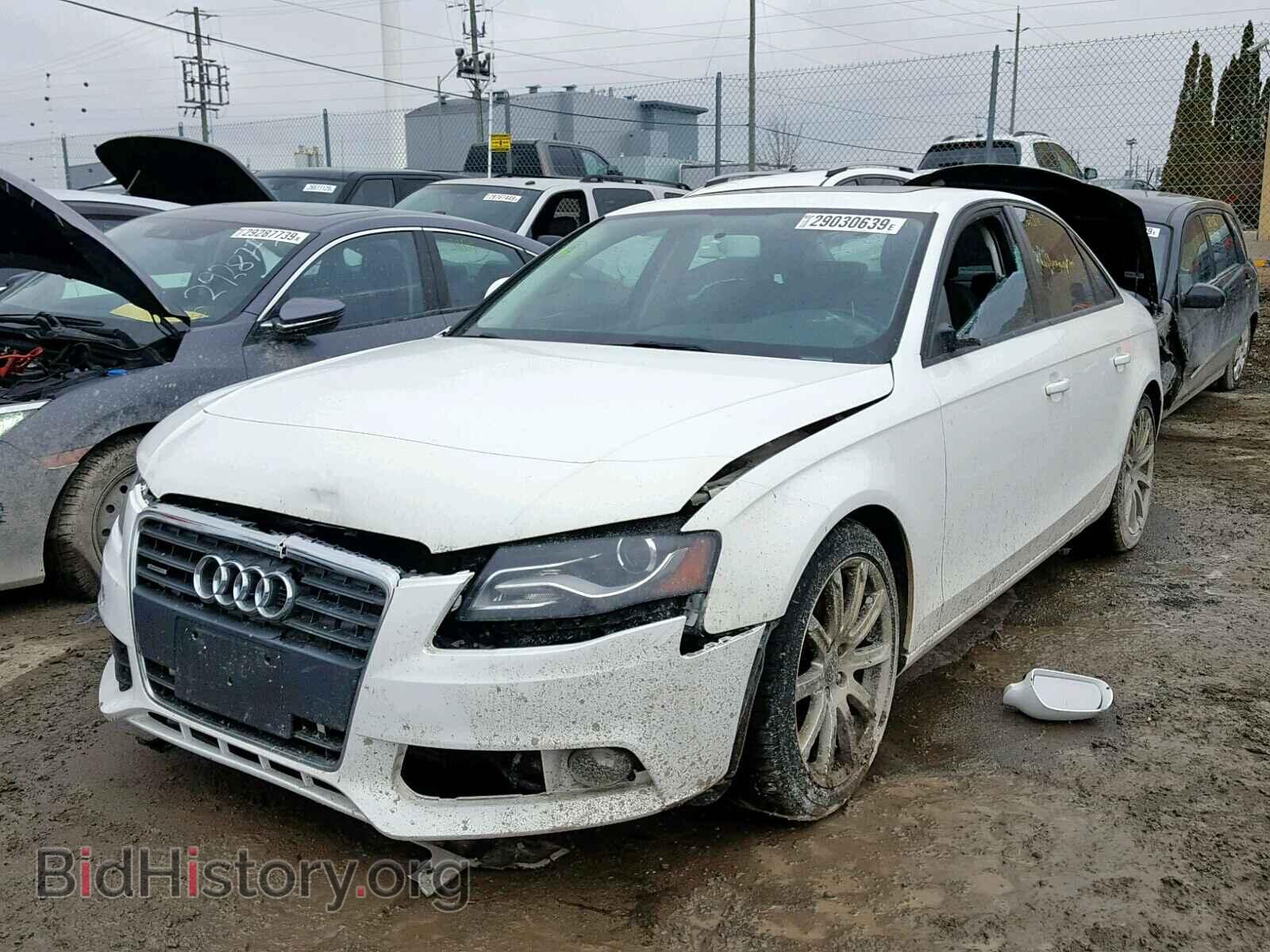 2009 AUDI A4 - VIN: WAULF68K09A223986 - Фото 2