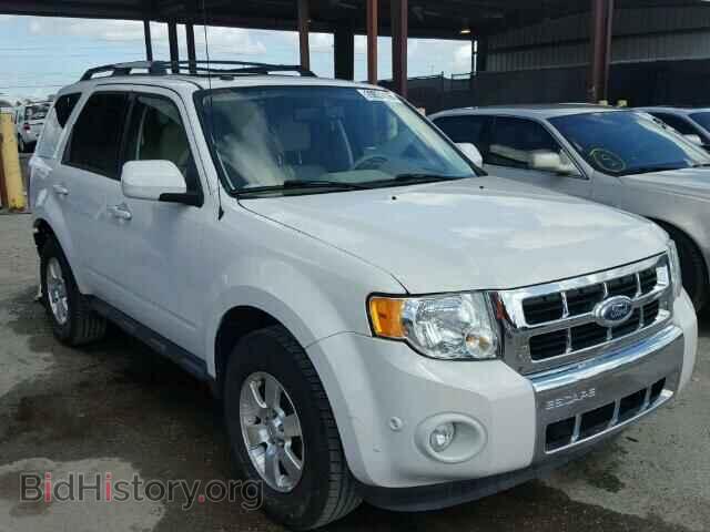 Photo 1FMCU0E73BKC02308 - FORD ESCAPE 2011