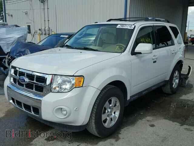 2011 FORD ESCAPE - VIN: 1FMCU0E73BKC02308 - Photo 2