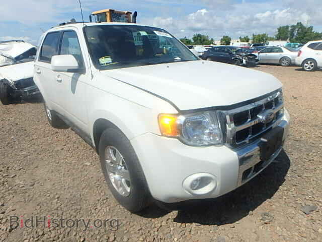 Photo 1FMCU0EG4BKB33726 - FORD ESCAPE 2011