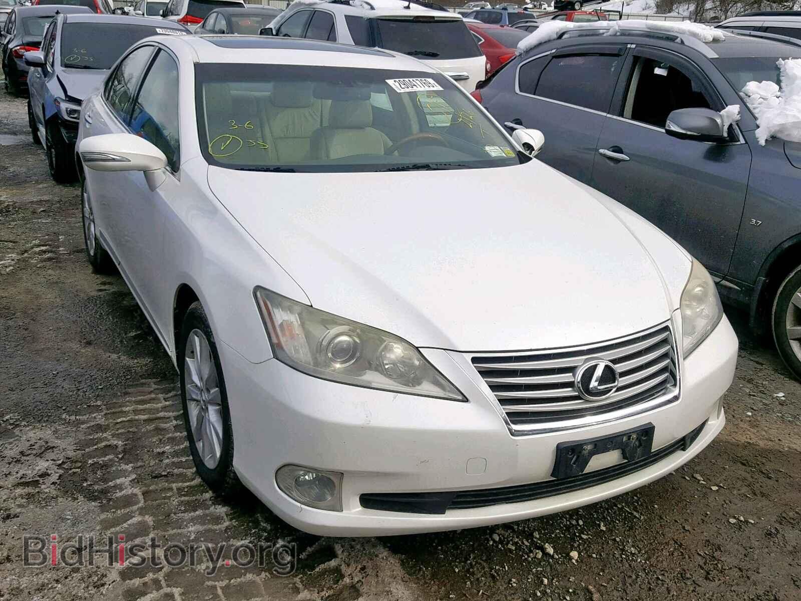 Photo JTHBK1EG1A2391453 - LEXUS ES350 2010
