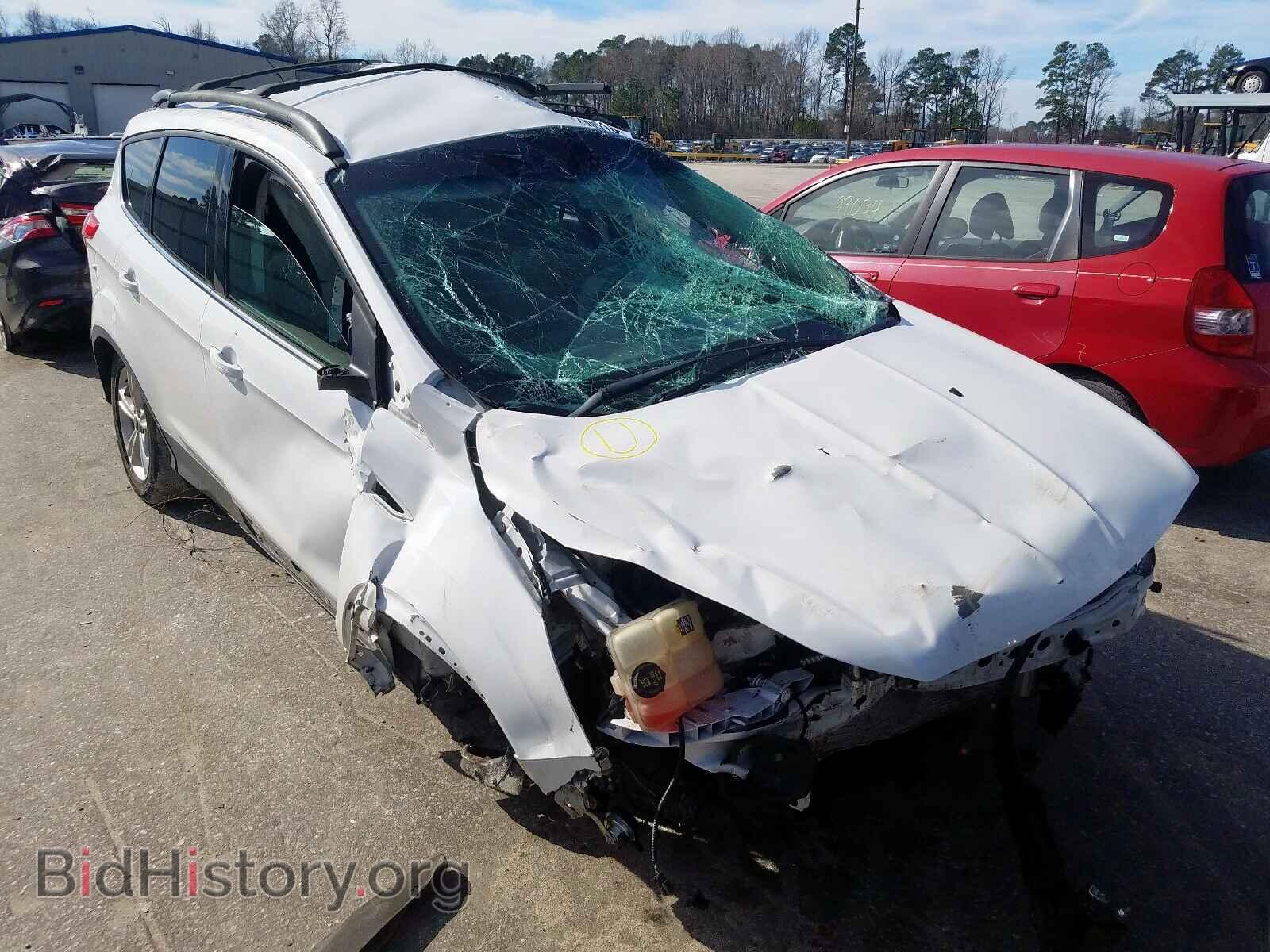 Photo 1FMCU0GX7DUA86485 - FORD ESCAPE 2013