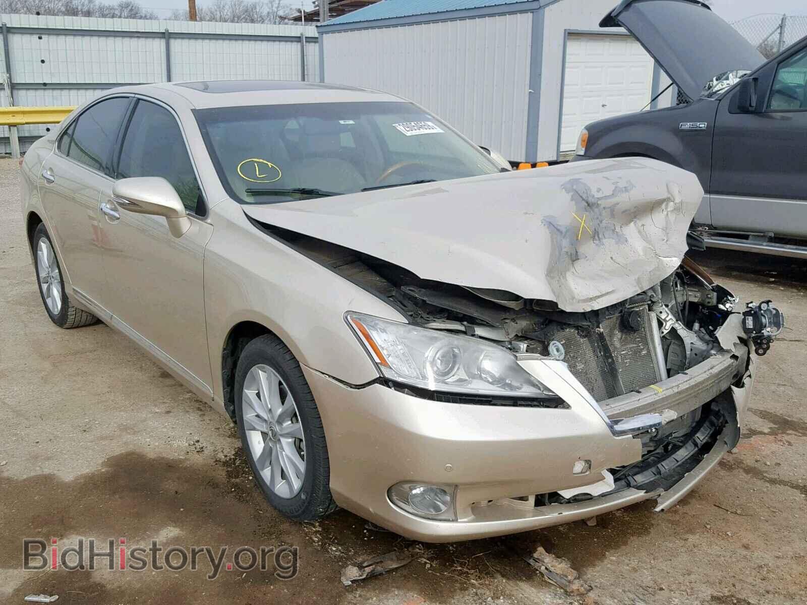Photo JTHBK1EG7A2394275 - LEXUS ES350 2010
