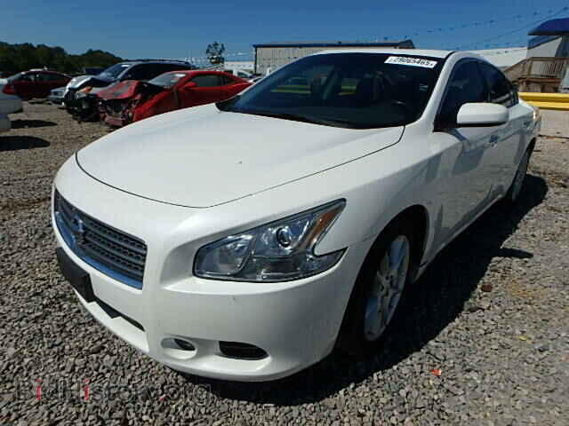 2009 NISSAN MAXIMA - VIN: 1N4AA51E39C808322 - Фото 2
