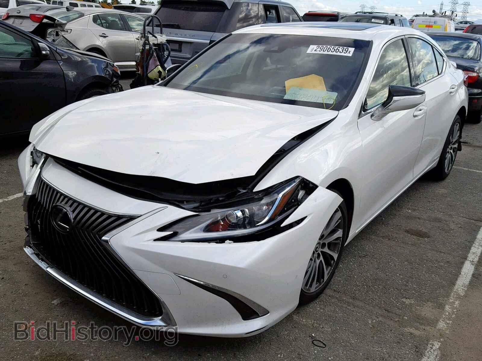 2019 LEXUS ES300 - VIN: JTHB21B16K2001111 - Фото 2