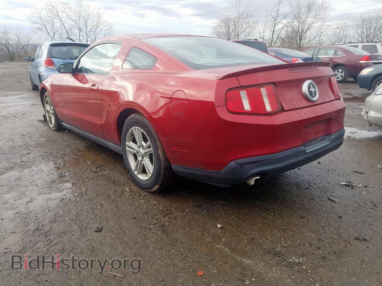 2011 FORD MUSTANG - VIN: 1ZVBP8AM5B5147650 - Фото 3