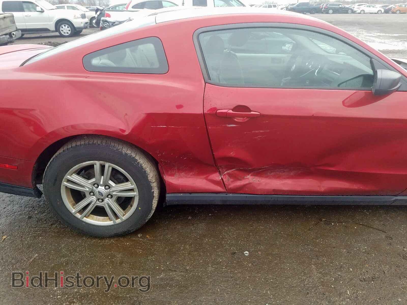 2011 FORD MUSTANG - VIN: 1ZVBP8AM5B5147650 - Фото 9