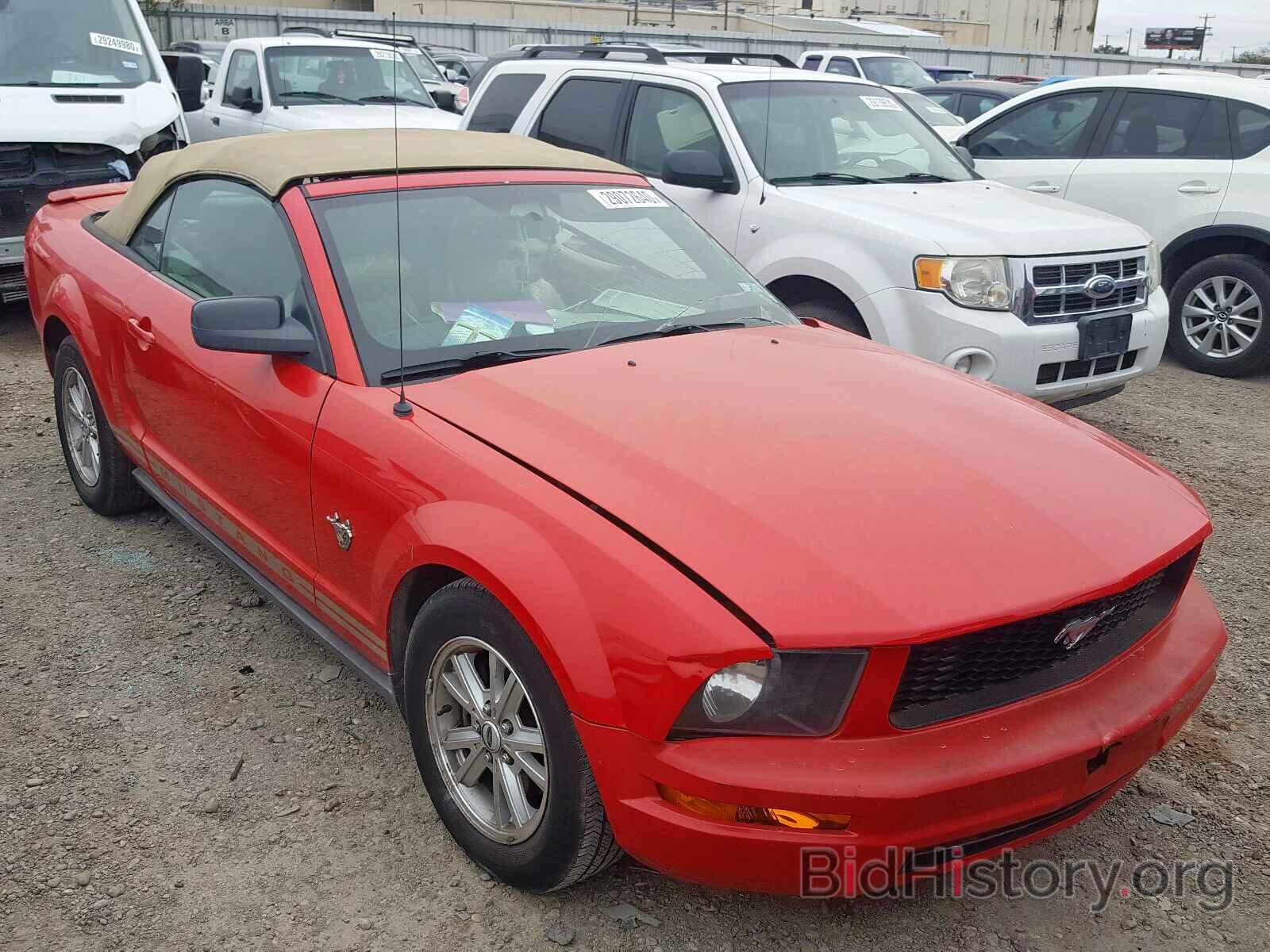 Photo 1ZVHT84N795134841 - FORD MUSTANG 2009