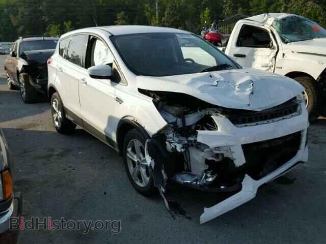 Фотография 1FMCU9GX5DUA42411 - FORD ESCAPE 2013