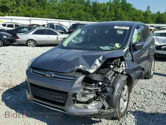 2013 FORD ESCAPE - VIN: 1FMCU0GX7DUA35164 - Фото 2