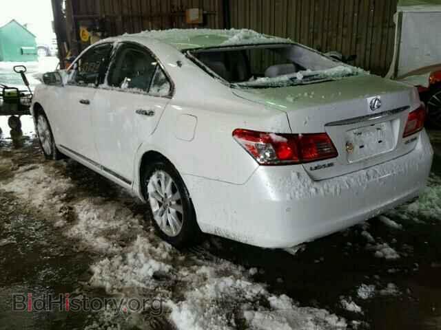 2010 LEXUS ES350 - VIN: JTHBK1EG1A2401771 - Фото 3