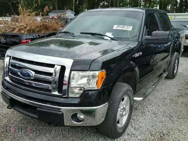 2012 FORD F150 - VIN: 1FTFW1EF0CFA15286 - Фото 2