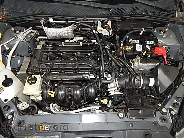 2010 FORD FOCUS - VIN: 1FAHP3GN3AW210002 - Фото 7