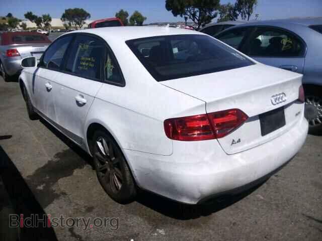 2010 AUDI A4 - VIN: WAUAFAFL8AN058921 - Фото 3