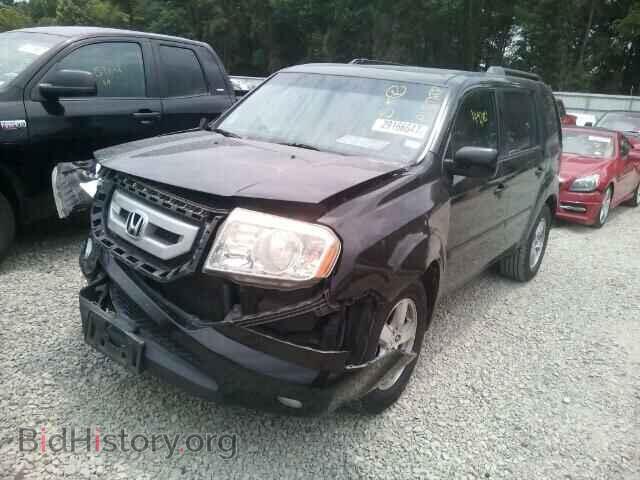 2009 HONDA PILOT - VIN: 5FNYF38589B018246 - Фото 2
