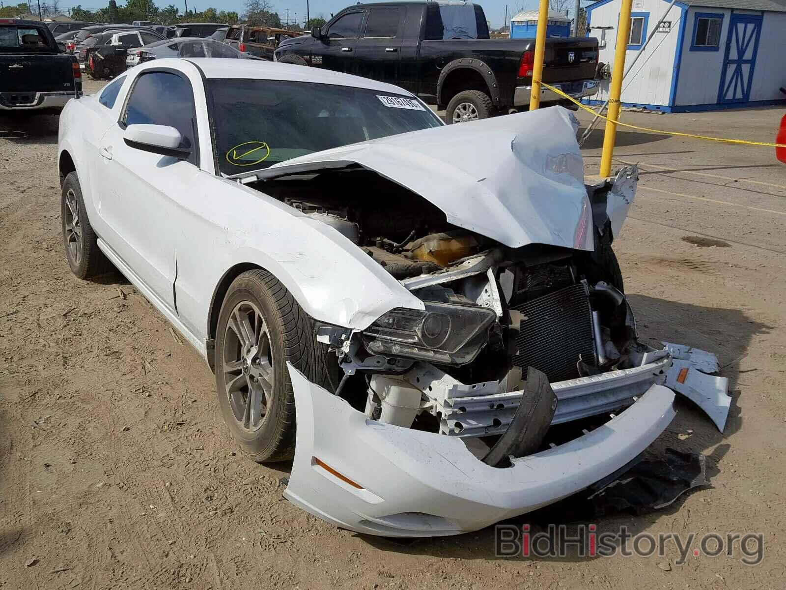 Photo 1ZVBP8AM0E5264704 - FORD MUSTANG 2014