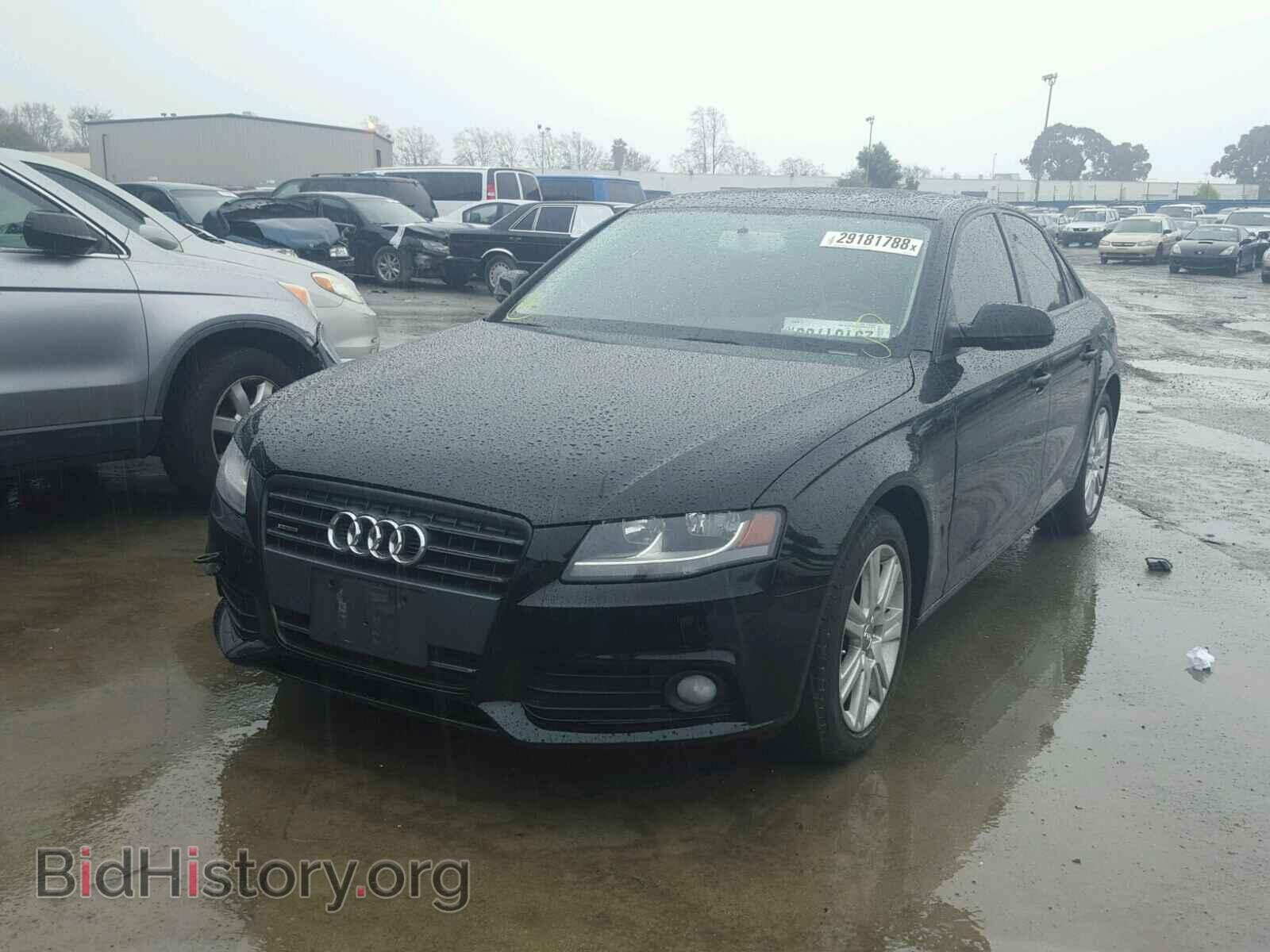 2010 AUDI A4 - VIN: WAUBFAFL1AN041706 - Фото 2