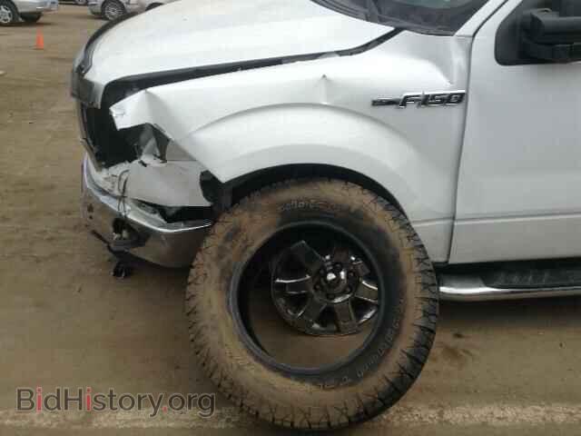 2013 FORD F150 - VIN: 1FTFW1EF9DKD47896 - Фото 10