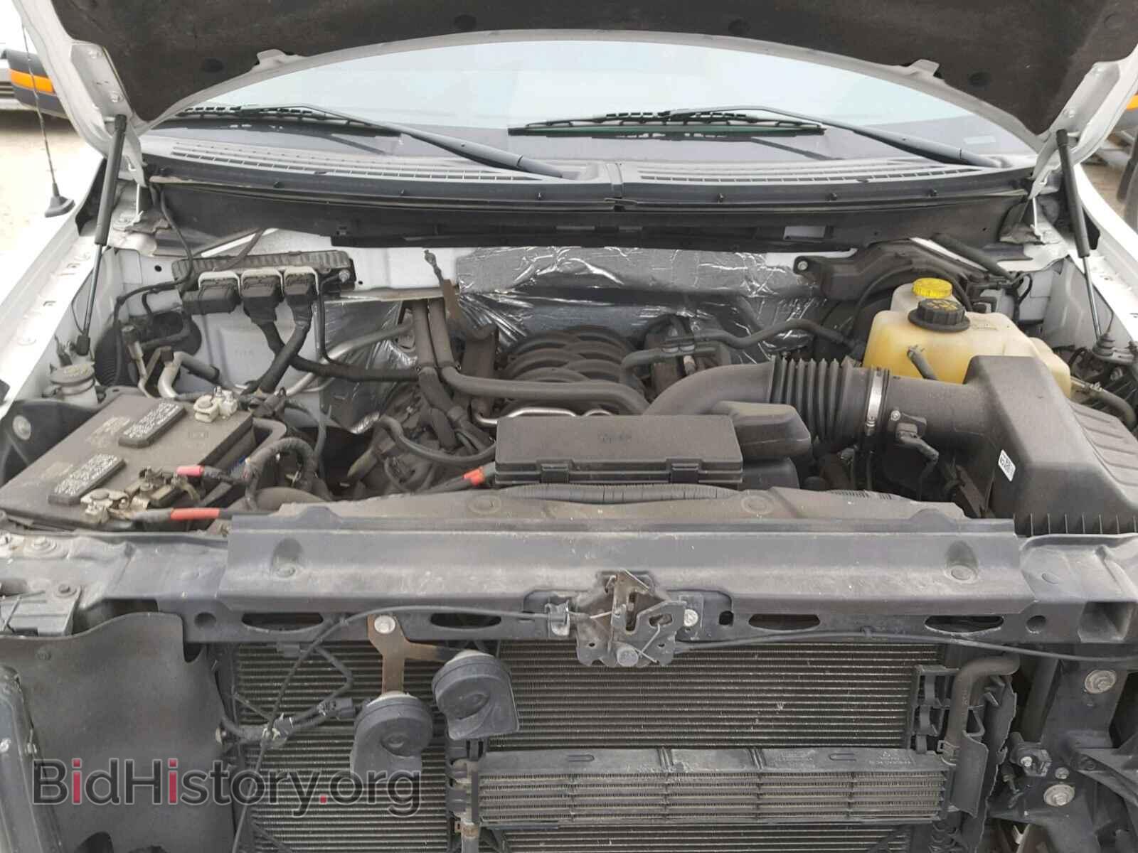 2014 FORD F150 - VIN: 1FTFW1EF0EFA34455 - Фото 7