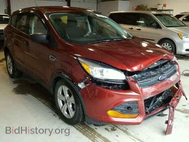 2014 Ford ESCAPE Escape S (VIN 1FMCU0F79EUE45869) — фото 1 из 10, Copart, повреждение: передняя часть