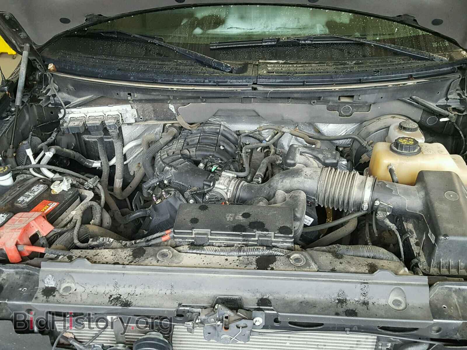 2012 FORD F150 - VIN: 1FTMF1CM1CKD87560 - Фото 7