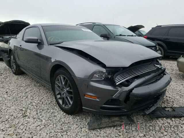 Photo 1ZVBP8AM6E5281135 - FORD MUSTANG 2014