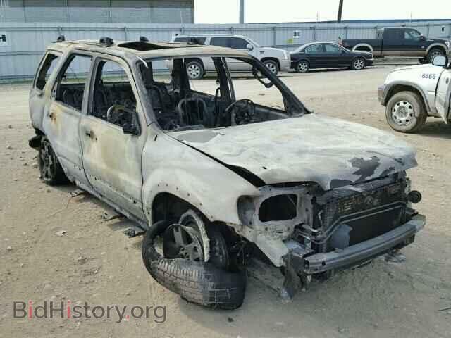 Photo 1FMYU93187K000000 - FORD ESCAPE 2007