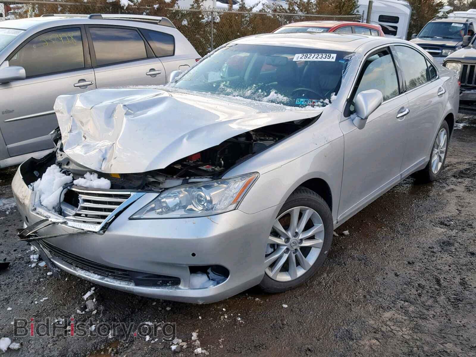 2010 LEXUS ES350 - VIN: JTHBK1EG7A2370641 - Фото 2