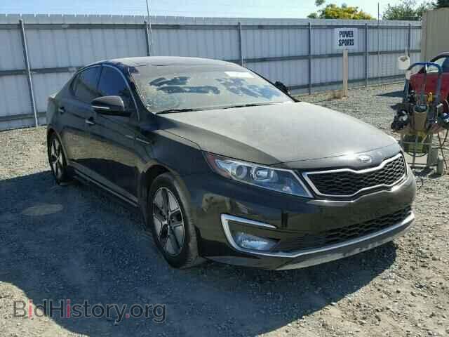 Фотография KNAGM4AD0D5047157 - KIA OPTIMA 2013