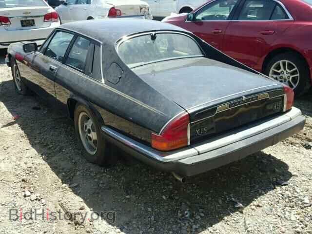 1984 JAGUAR XJS - VIN: SAJNV5849EC114372 - Фото 3