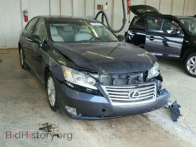 Фотография JTHBK1EG2A2394698 - LEXUS ES350 2010