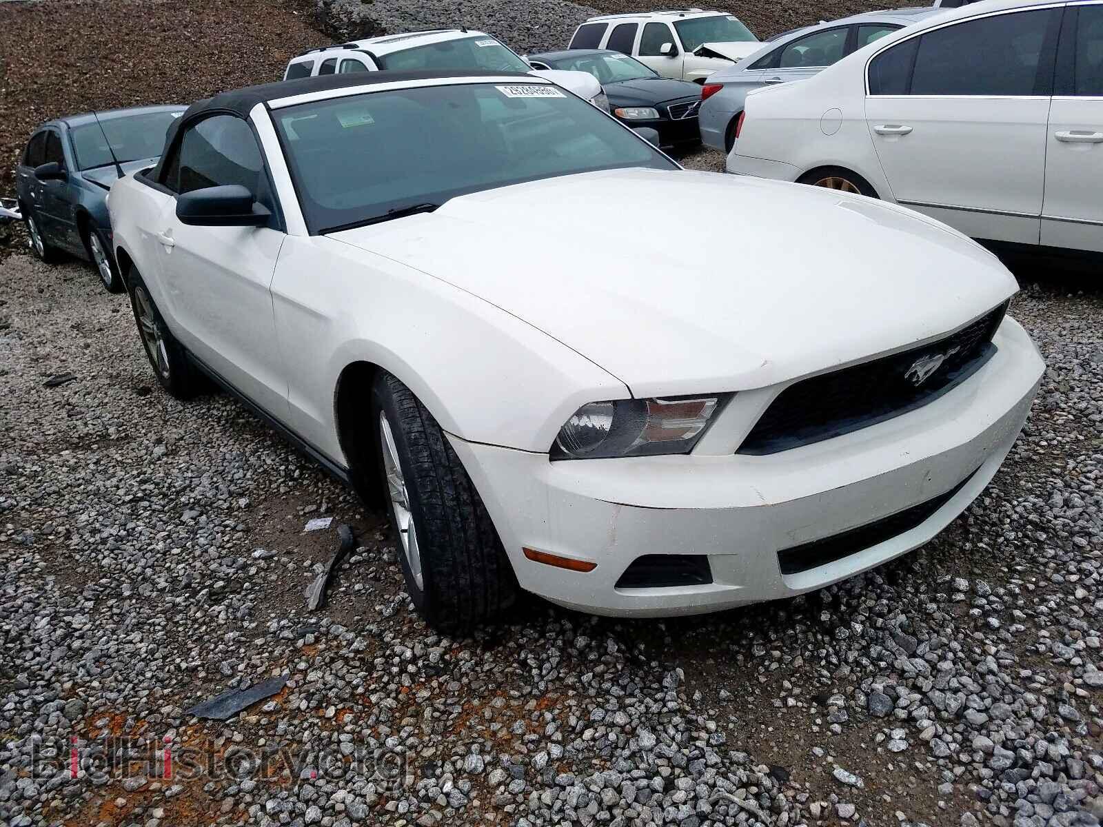 Фотография 1ZVBP8EMXC5257069 - FORD MUSTANG 2012