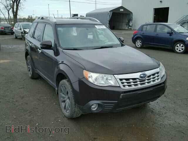 Фотография JF2SHCDC2DH409228 - SUBARU FORESTER 2013