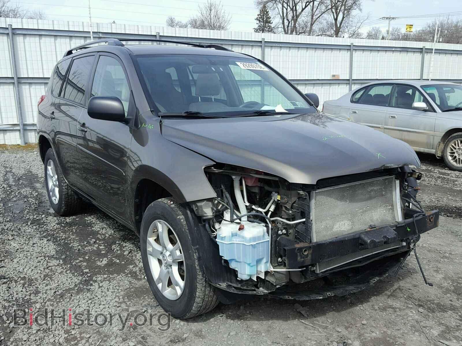 Фотография 2T3BF4DV8CW185936 - TOYOTA RAV4 2012