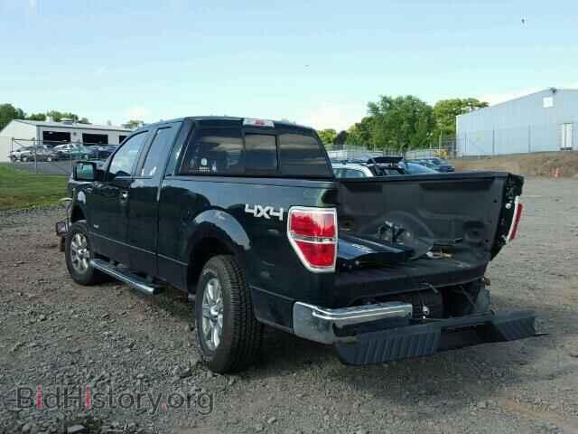 2013 FORD F150 - VIN: 1FTFX1ET7DFC91856 - Фото 3