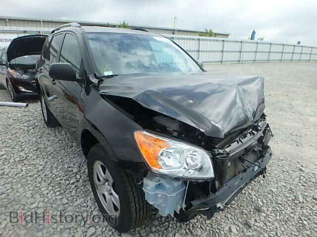 Фотография 2T3ZF4DV7CW151372 - TOYOTA RAV4 2012