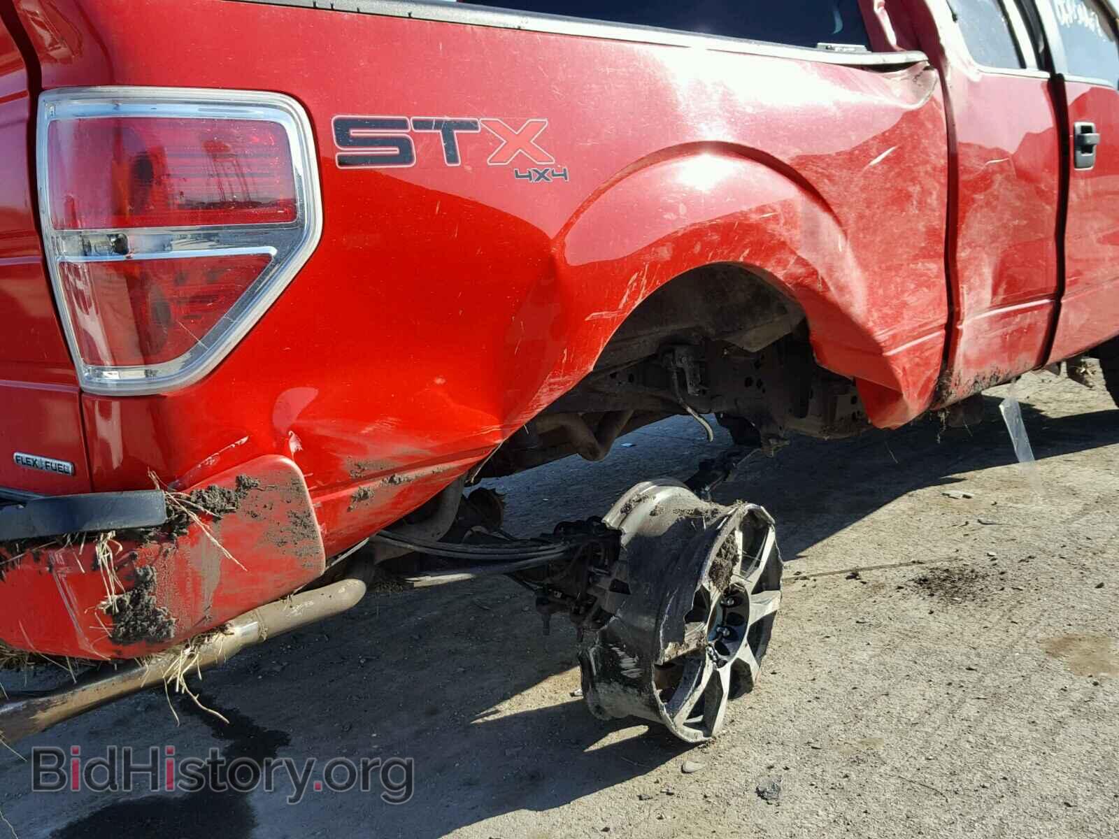 2013 FORD F150 - VIN: 1FTFX1EF1DFA01508 - Фото 9