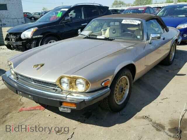 1991 JAGUAR XJS - VIN: SAJTW4849MC178652 - Фото 2