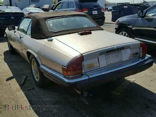 1991 JAGUAR XJS - VIN: SAJTW4849MC178652 - Фото 3