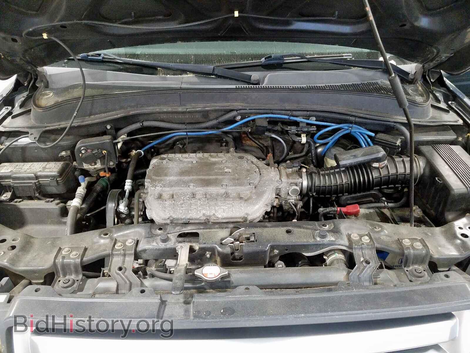2006 HONDA PILOT - VIN: 2HKYF18486H533451 - Фото 7