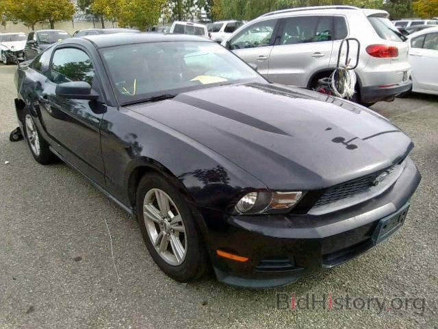 Photo 1ZVBP8AM1C5249643 - FORD MUSTANG 2012