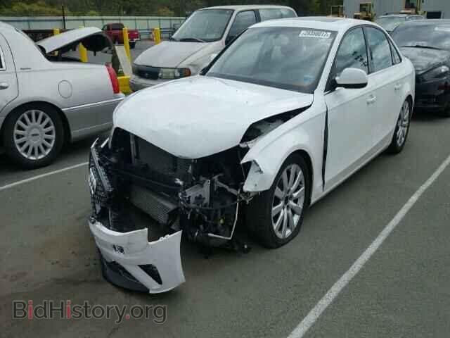 2010 AUDI A4 - VIN: WAUFFAFL5AN048577 - Фото 2