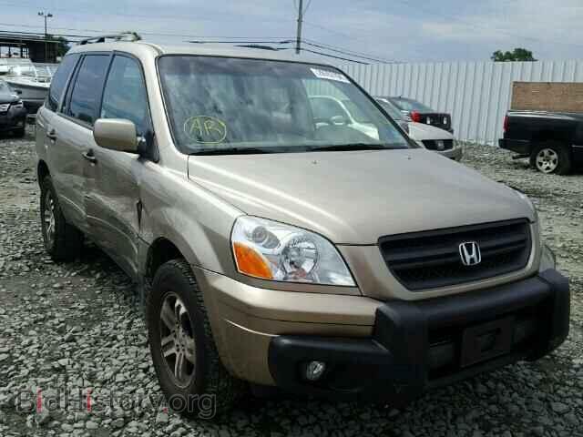 Фотография 5FNYF18495B022246 - HONDA PILOT 2005