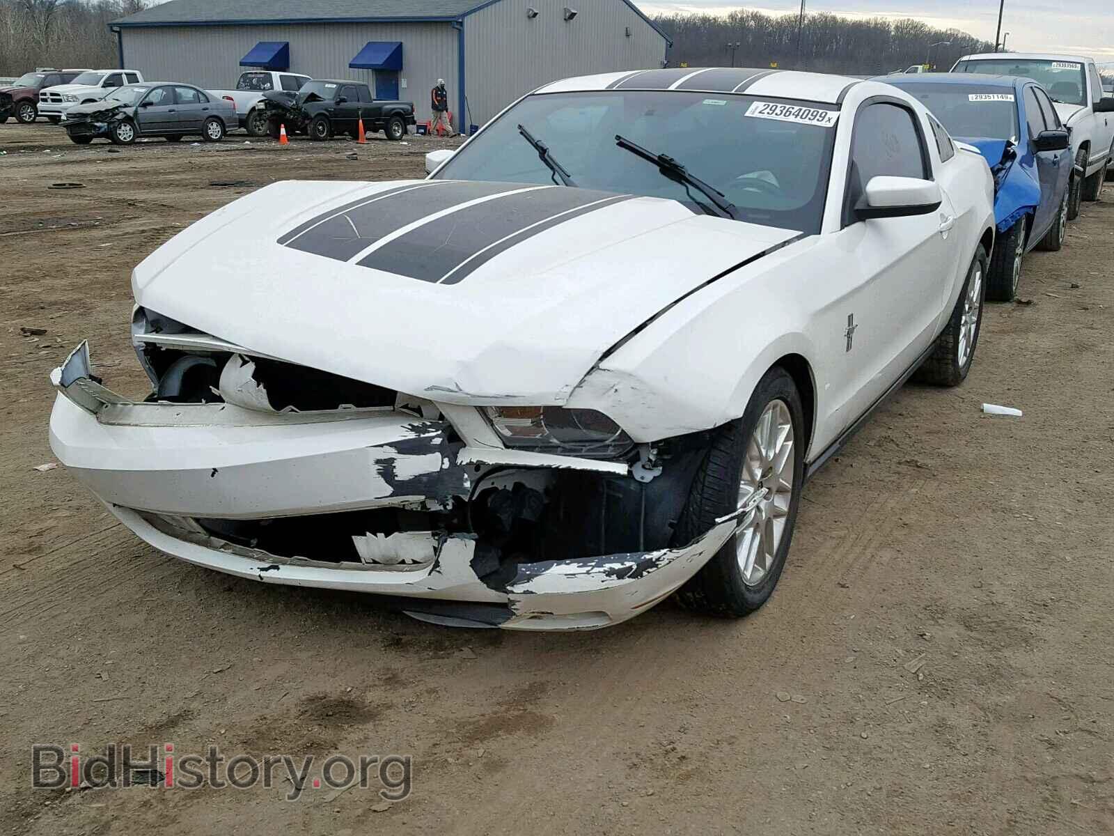 2012 FORD MUSTANG - VIN: 1ZVBP8AM0C5237449 - Фото 2