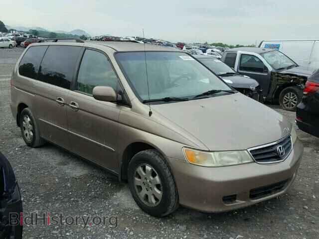 Фотография 5FNRL18683B029376 - HONDA ODYSSEY 2003