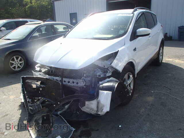 2014 Ford ESCAPE (VIN 1FMCU0G95EUD48782) — фото 2 из 10