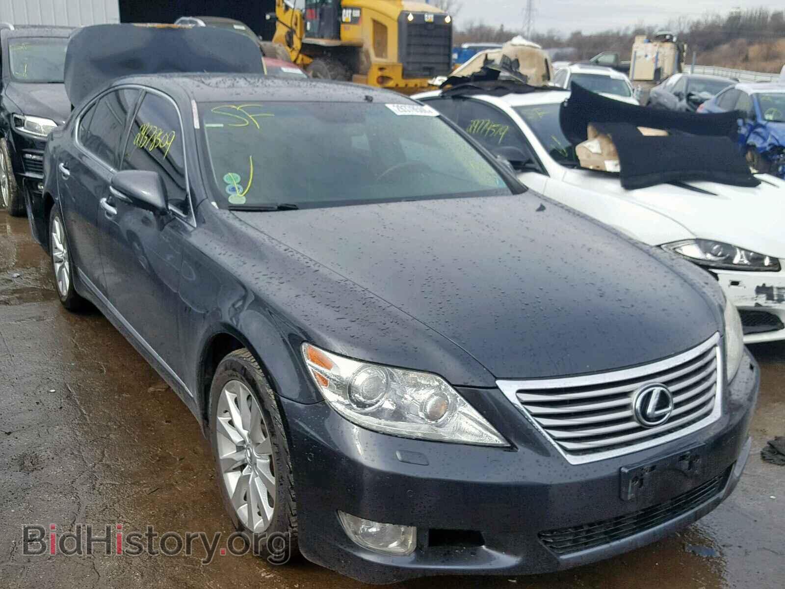 Photo JTHCL5EF4A5006028 - LEXUS LS460 2010