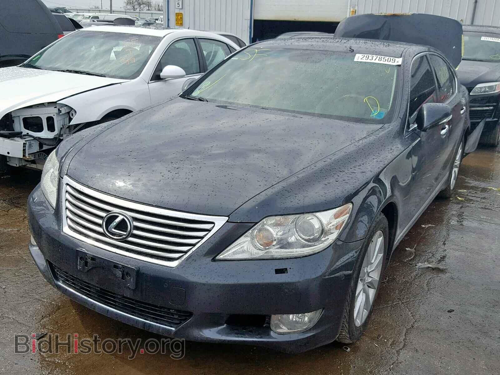 2010 LEXUS LS460 - VIN: JTHCL5EF4A5006028 - Фото 2