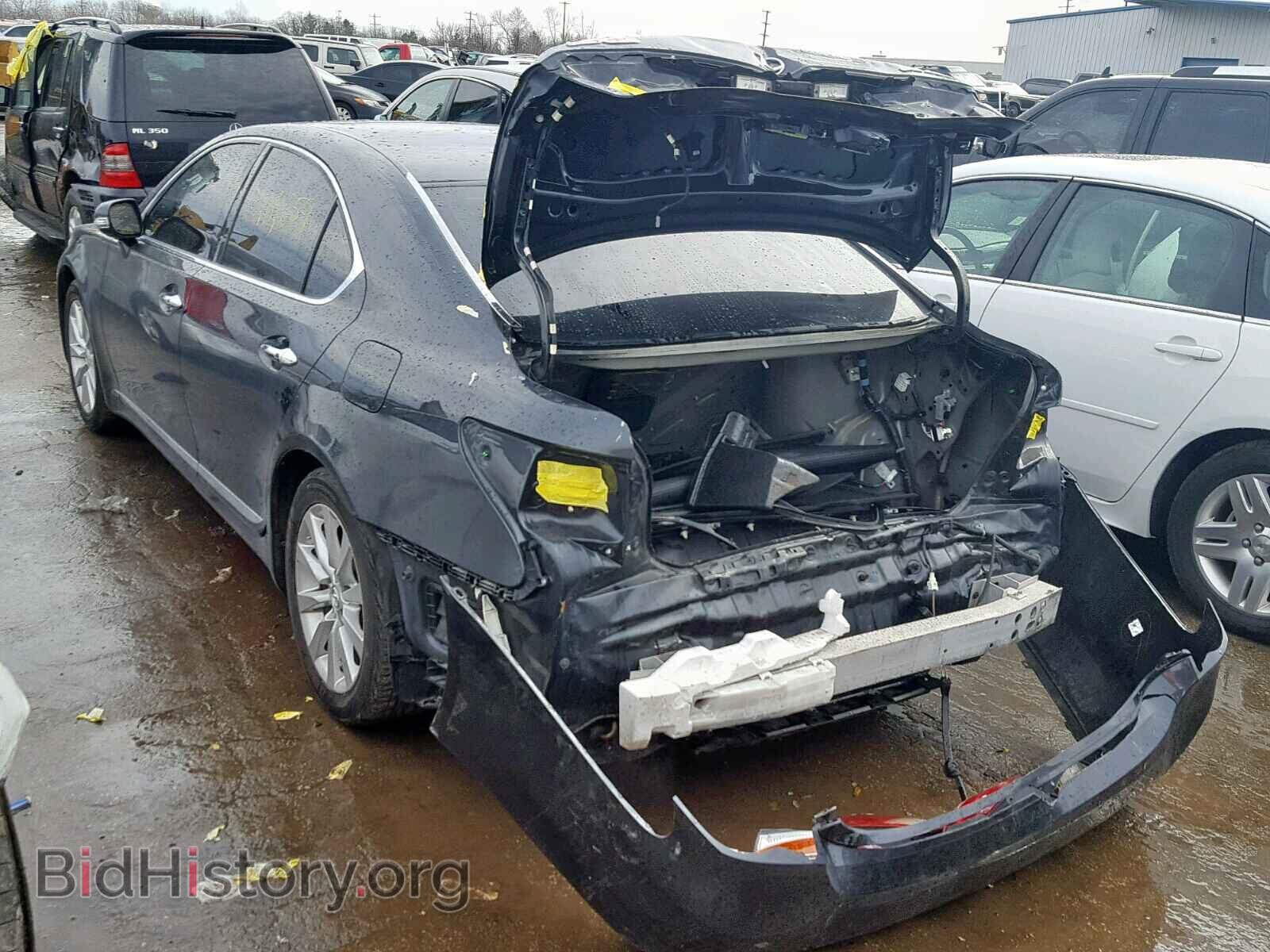 2010 LEXUS LS460 - VIN: JTHCL5EF4A5006028 - Фото 3