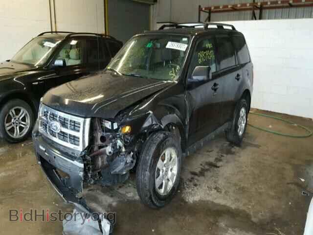 2011 FORD ESCAPE - VIN: 1FMCU9EG0BKB85004 - Фото 2